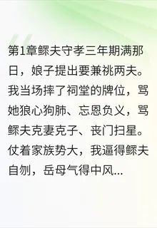 鰥夫守孝三年期滿那日娘子提出要兼祧兩夫 封面