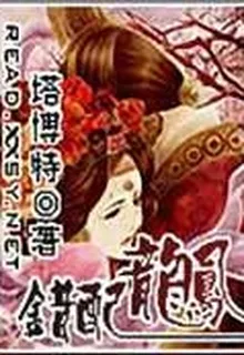 錯配龍鳳 封面