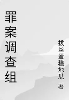 罪案調查組 封面
