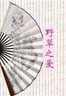 野草之愛 封面