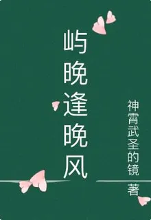 嶼晚逢晚風 封面