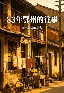 八三年鄂州的往事 封面