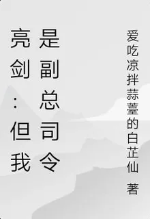 亮劍：但我是副總司令 封面
