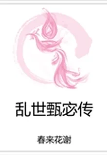 亂世甄宓傳 封面