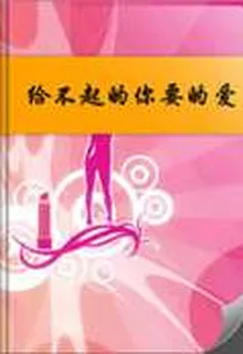 給不起的你要的愛 封面