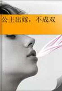 公主出嫁，不成雙 封面