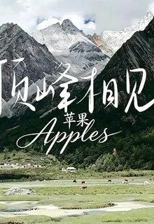 頂峯相見 封面