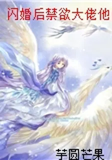 閃婚後禁慾大佬他日夜難纏 封面