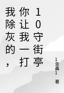 我除灰的，你讓我一打10守街亭 封面