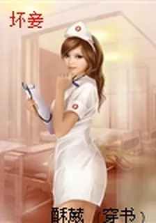 壞妾 封面