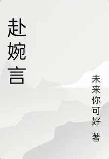 赴婉言 封面