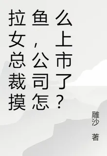 拉女總裁摸魚，公司怎麼上市了？ 封面