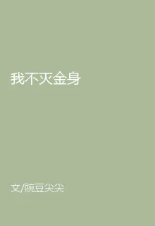 我不滅金身 封面