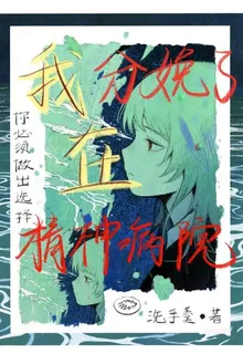 我在精神病院分娩了 封面