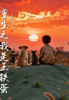 重生之我是王鐵蛋 封面