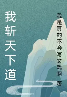 我斬天下道 封面