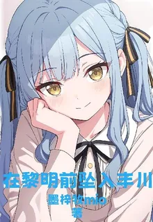 在黎明前墜入豐川 封面