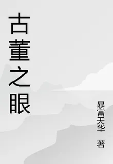 古董之眼 封面