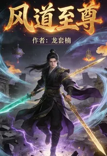 風道至尊 封面