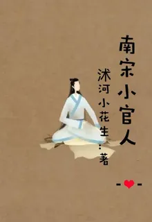 南宋小官人 封面