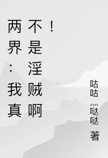 兩界：我真不是淫賊啊！ 封面