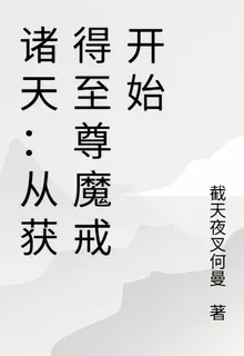 諸天：從獲得至尊魔戒開始 封面
