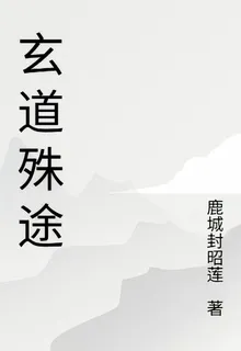 玄道殊途 封面