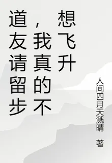 道友請留步，我真的不想飛昇 封面
