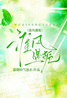 淮風遇梔 封面