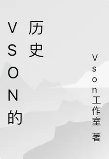 Vson的歷史 封面