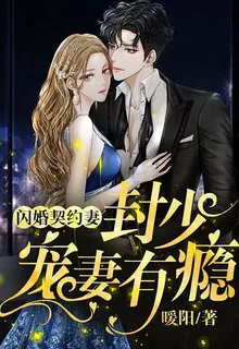 閃婚契約妻：封少寵妻有癮 封面