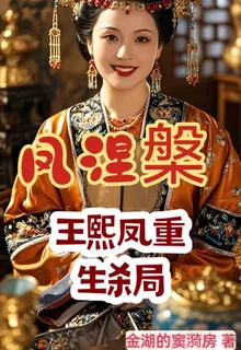 鳳涅槃，王熙鳳重生殺局 封面