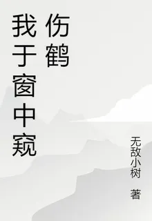 我於窗中窺傷鶴 封面