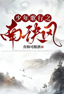 少年歌行之南訣風 封面