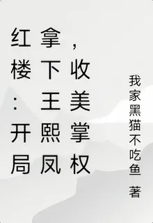 紅樓：開局拿下王熙鳳，收美掌權 封面