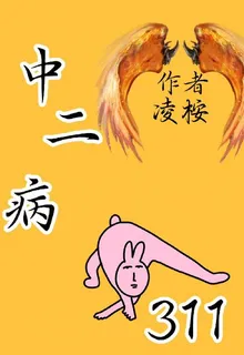 中二病311 封面