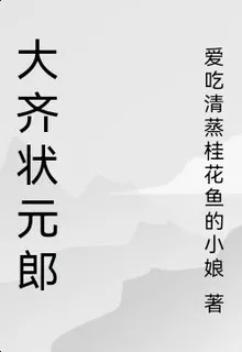 大齊狀元郎 封面