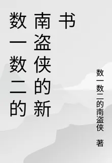數一數二的南盜俠的新書 封面