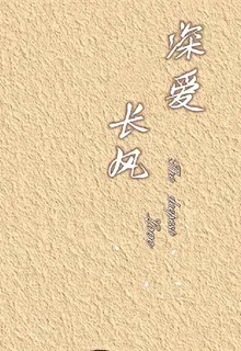 深愛長風 封面