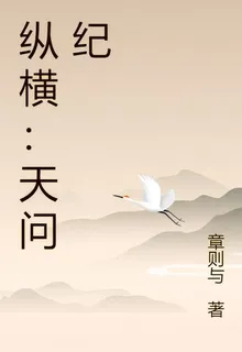 縱橫：天問紀 封面