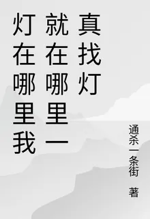 燈在哪裏我就在哪裏一真找燈 封面