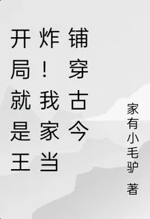 開局就是王炸！我家當鋪穿古今 封面