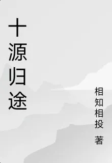 十源歸途 封面