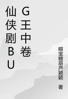 仙俠劇bug王中卷 封面