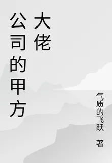 公司的甲方大佬 封面