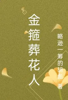 金箍葬花人 封面