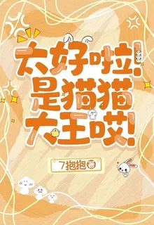 太好啦！是貓貓大王哎 封面