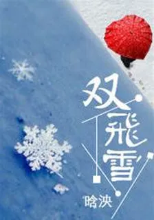 雙飛雪 封面