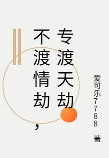 不渡情劫，專渡天劫 封面