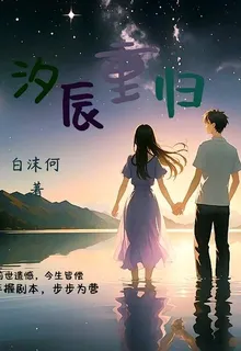 汐辰重歸 封面
